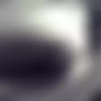 Ariane31
