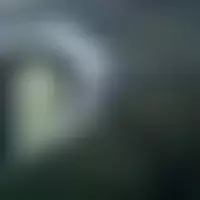 Bob64