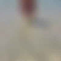 Tisa