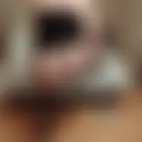 Couple233641
