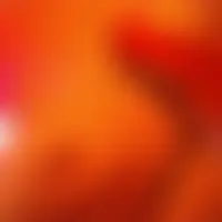 Couplefbi31dispo
