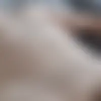 Jeje133