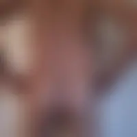 Patsexe31
