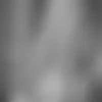 Fredpdc22
